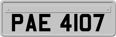 PAE4107
