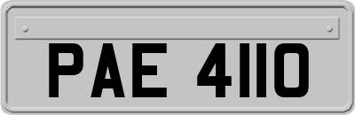 PAE4110