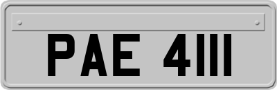 PAE4111