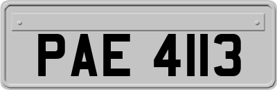 PAE4113