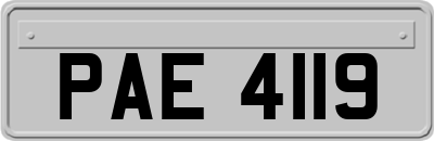 PAE4119