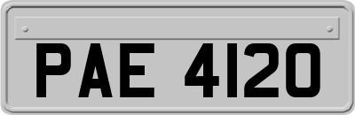 PAE4120