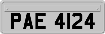 PAE4124