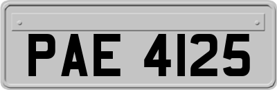 PAE4125