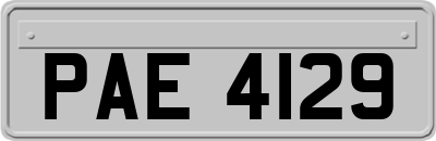 PAE4129