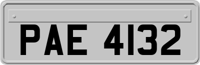 PAE4132