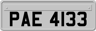 PAE4133
