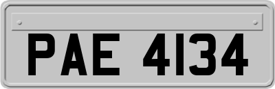 PAE4134