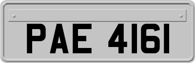 PAE4161