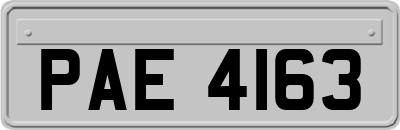PAE4163