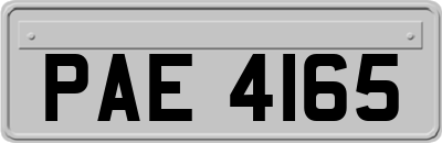 PAE4165