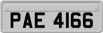 PAE4166