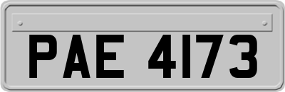 PAE4173