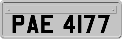 PAE4177