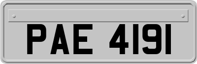 PAE4191