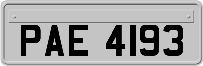 PAE4193