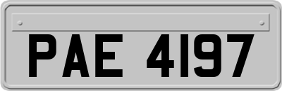 PAE4197