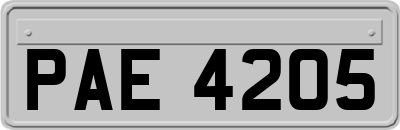 PAE4205