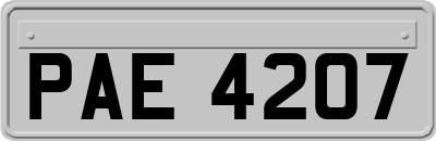 PAE4207