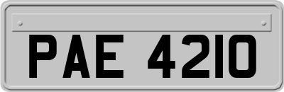 PAE4210