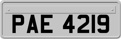 PAE4219