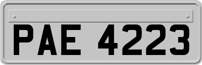 PAE4223