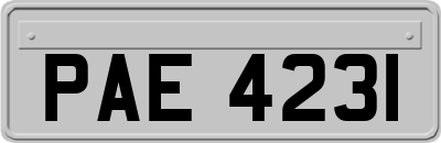 PAE4231