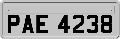 PAE4238
