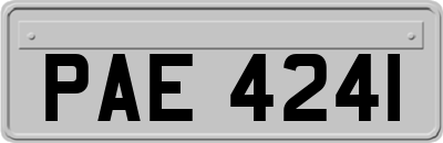 PAE4241