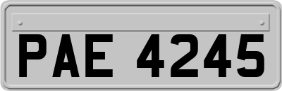 PAE4245