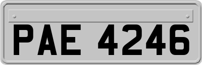 PAE4246