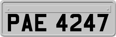 PAE4247