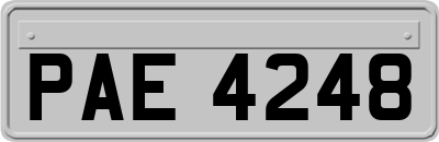 PAE4248