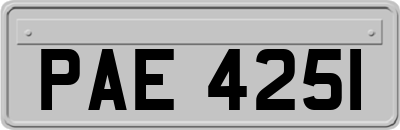 PAE4251