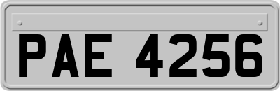 PAE4256