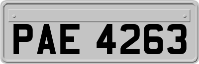 PAE4263