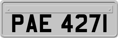 PAE4271