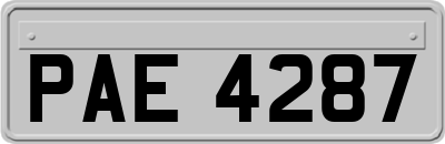 PAE4287