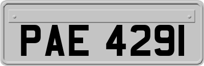 PAE4291