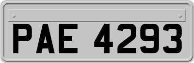 PAE4293