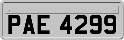 PAE4299