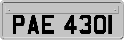 PAE4301