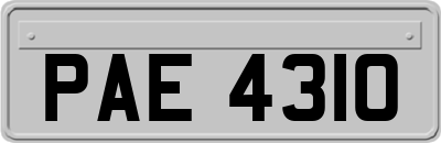 PAE4310