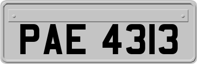 PAE4313