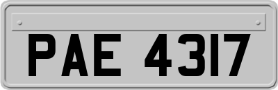 PAE4317