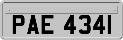 PAE4341