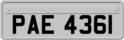 PAE4361