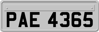 PAE4365