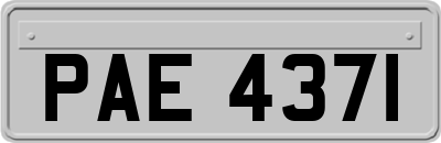 PAE4371