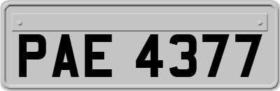 PAE4377